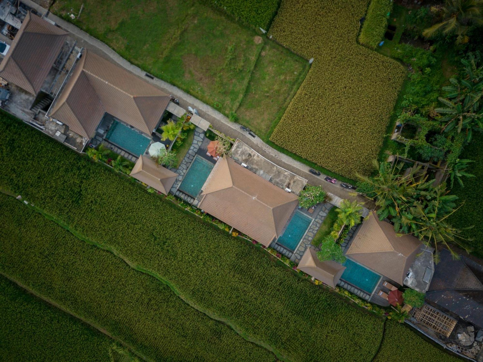 Happy Honeymoon Private Villa Ubud Buitenkant foto