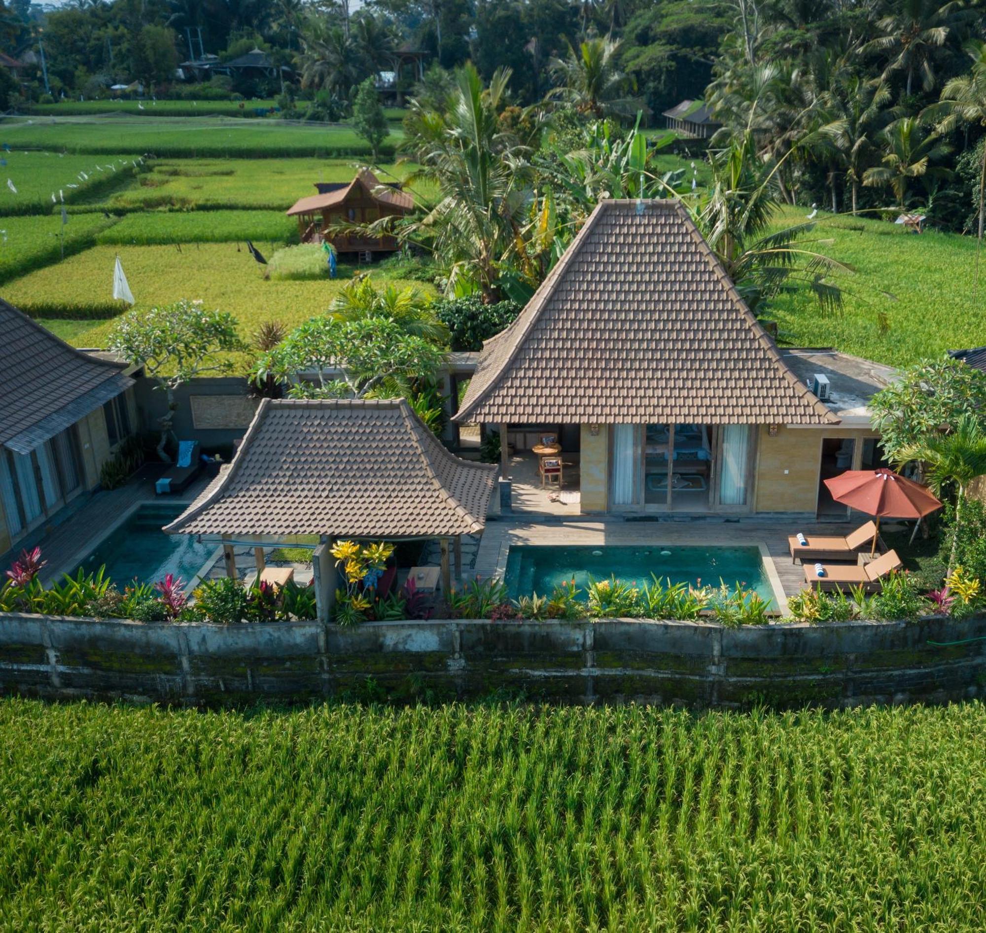 Happy Honeymoon Private Villa Ubud Buitenkant foto